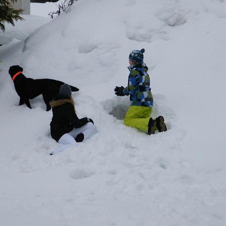 Appartamento Hinterankerwald Walchsee Esterno foto