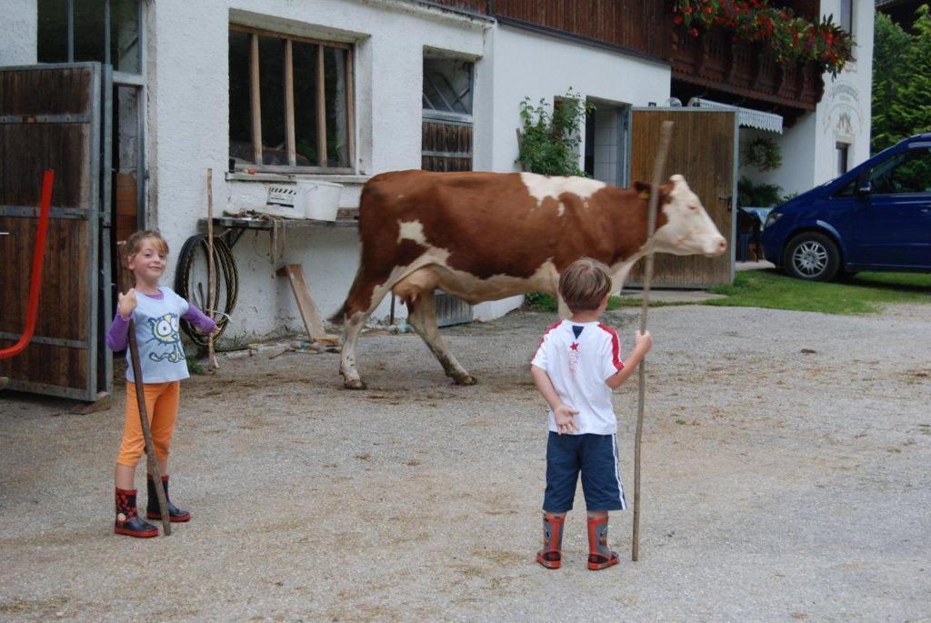 Appartamento Hinterankerwald Walchsee Esterno foto