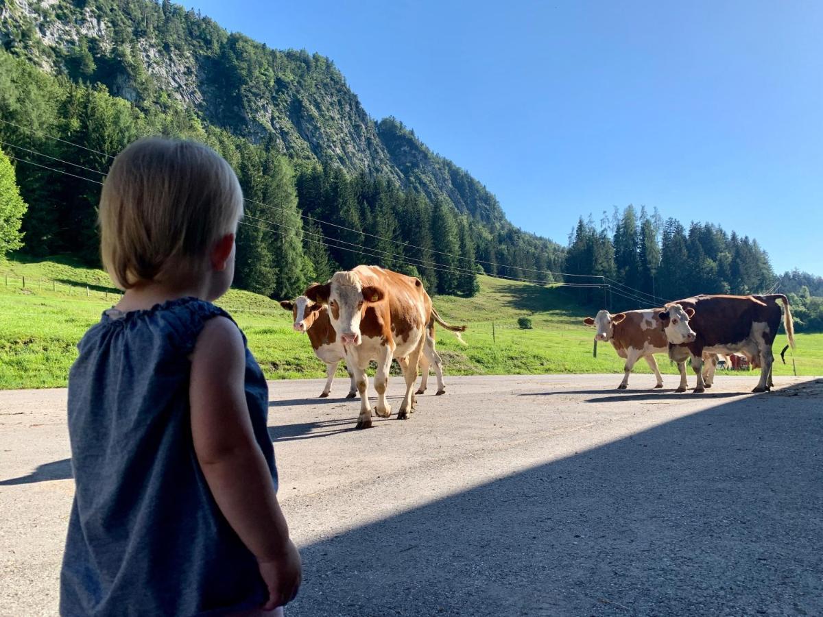 Appartamento Hinterankerwald Walchsee Esterno foto