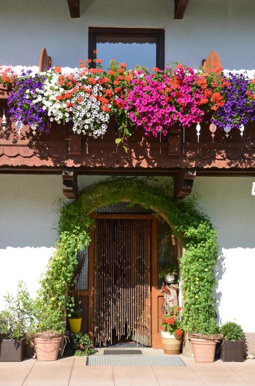 Appartamento Hinterankerwald Walchsee Esterno foto