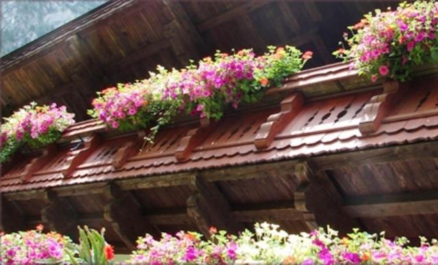 Appartamento Hinterankerwald Walchsee Esterno foto