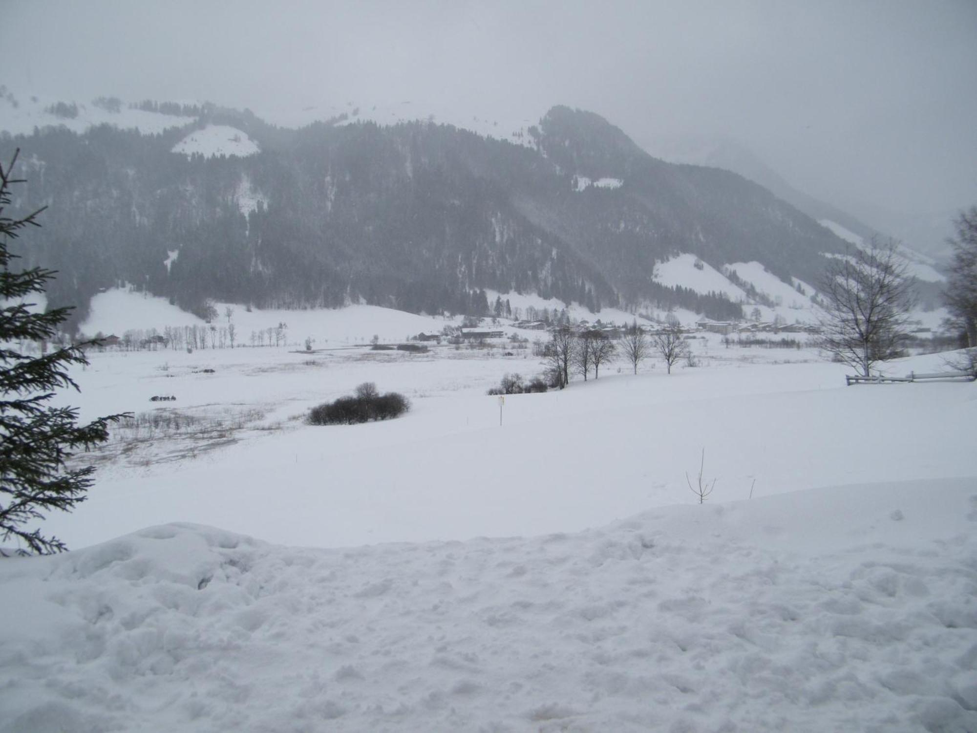 Appartamento Hinterankerwald Walchsee Esterno foto