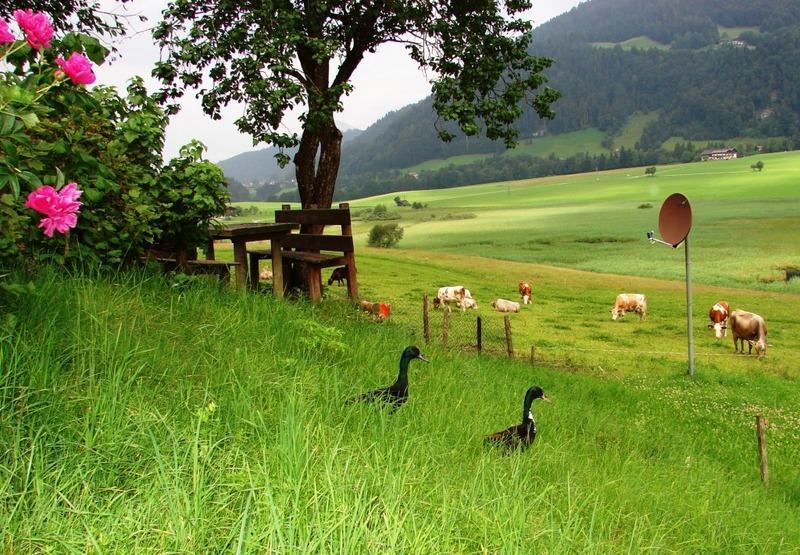 Appartamento Hinterankerwald Walchsee Esterno foto