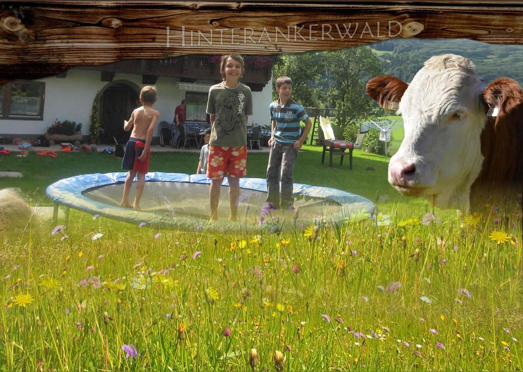 Appartamento Hinterankerwald Walchsee Esterno foto