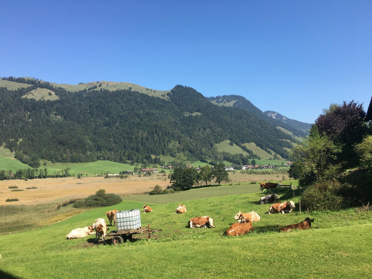 Appartamento Hinterankerwald Walchsee Esterno foto